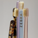 THE TOOTHBRUSH